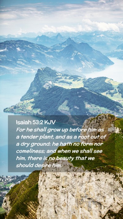 Picture 02 - Isaiah 53:2 KJV Mobile Phone Wallpaper - For he shall grow up before him as a tender - Mobile Bible Verse Wallpaper
