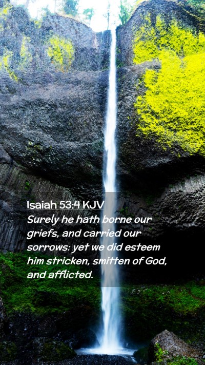 Picture 02 - Isaiah 53:4 KJV Mobile Phone Wallpaper - Surely he hath borne our griefs, and carried our - Mobile Bible Verse Wallpaper