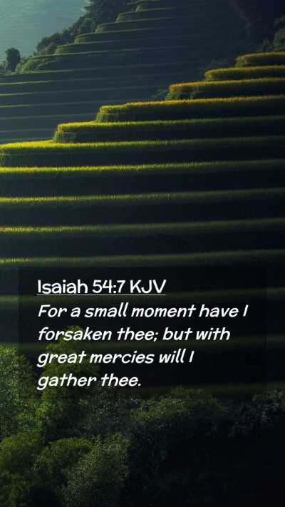Picture 02 - Isaiah 54:7 KJV Mobile Phone Wallpaper - For a small moment have I forsaken thee; but with - Mobile Bible Verse Wallpaper