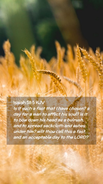 Picture 02 - Isaiah 58:5 KJV Mobile Phone Wallpaper - Is it such a fast that I have chosen? a day for a - Mobile Bible Verse Wallpaper