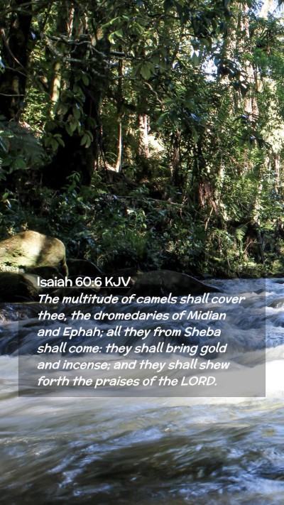 Picture 02 - Isaiah 60:6 KJV Mobile Phone Wallpaper - The multitude of camels shall cover thee, the - Mobile Bible Verse Wallpaper