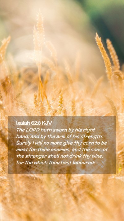 Picture 02 - Isaiah 62:8 KJV Mobile Phone Wallpaper - The LORD hath sworn by his right hand, and by the - Mobile Bible Verse Wallpaper