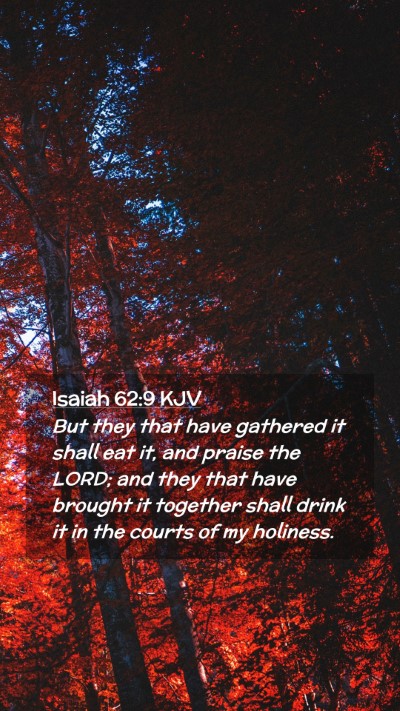 Picture 02 - Isaiah 62:9 KJV Mobile Phone Wallpaper - But they that have gathered it shall eat it, and - Mobile Bible Verse Wallpaper