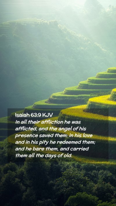 Picture 02 - Isaiah 63:9 KJV Mobile Phone Wallpaper - In all their affliction he was afflicted, and the - Mobile Bible Verse Wallpaper