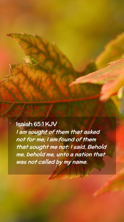 Picture 02 - Isaiah 65:1 KJV Mobile Phone Wallpaper - I am sought of them that asked not for me; I am - Mobile Bible Verse Wallpaper