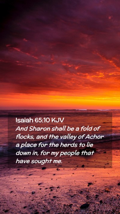 Picture 02 - Isaiah 65:10 KJV Mobile Phone Wallpaper - And Sharon shall be a fold of flocks, and the - Mobile Bible Verse Wallpaper
