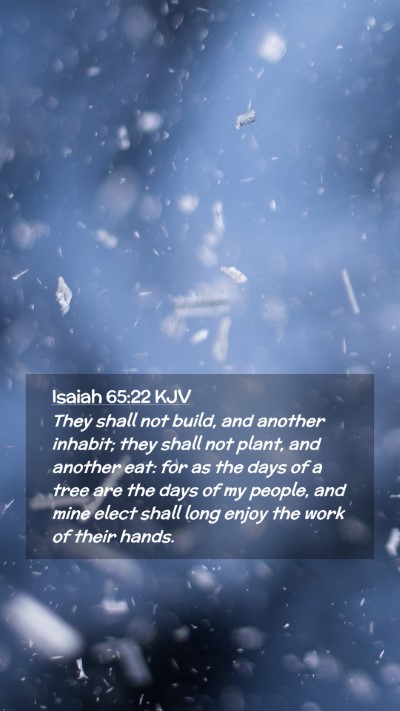 Picture 02 - Isaiah 65:22 KJV Mobile Phone Wallpaper - They shall not build, and another inhabit; they - Mobile Bible Verse Wallpaper