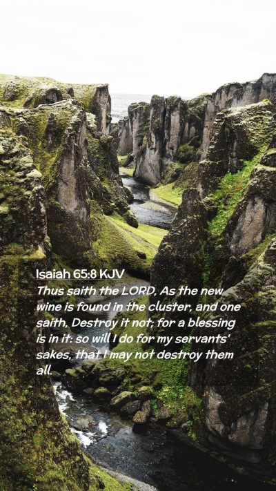 Picture 02 - Isaiah 65:8 KJV Mobile Phone Wallpaper - Thus saith the LORD, As the new wine is found in - Mobile Bible Verse Wallpaper