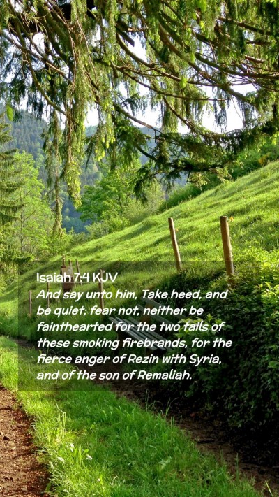Picture 02 - Isaiah 7:4 KJV Mobile Phone Wallpaper - And say unto him, Take heed, and be quiet; fear - Mobile Bible Verse Wallpaper