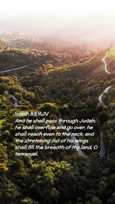 Picture 02 - Isaiah 8:8 KJV Mobile Phone Wallpaper - And he shall pass through Judah; he shall - Mobile Bible Verse Wallpaper
