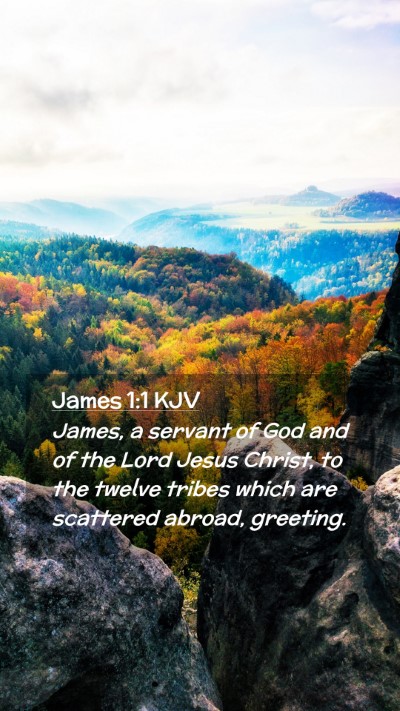 Picture 02 - James 1:1 KJV Mobile Phone Wallpaper - James, a servant of God and of the Lord Jesus - Mobile Bible Verse Wallpaper