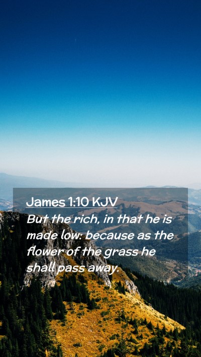 Picture 02 - James 1:10 KJV Mobile Phone Wallpaper - But the rich, in that he is made low: because as - Mobile Bible Verse Wallpaper
