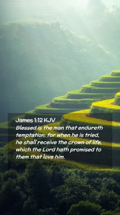Picture 02 - James 1:12 KJV Mobile Phone Wallpaper - Blessed is the man that endureth temptation: for - Mobile Bible Verse Wallpaper