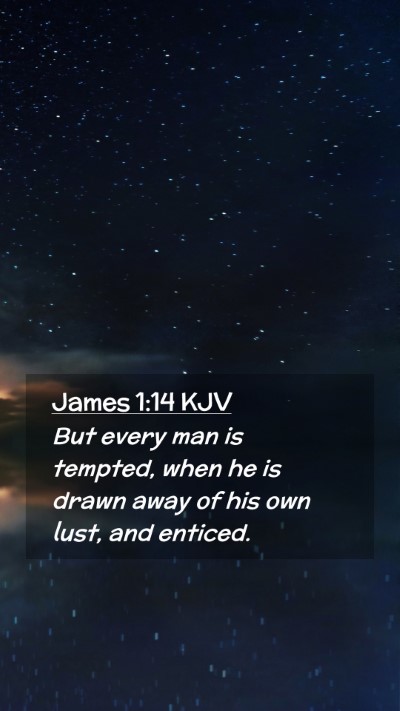 Picture 02 - James 1:14 KJV Mobile Phone Wallpaper - But every man is tempted, when he is drawn away - Mobile Bible Verse Wallpaper