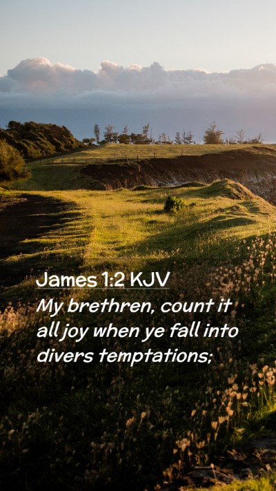 Picture 02 - James 1:2 KJV Mobile Phone Wallpaper - My brethren, count it all joy when ye fall into - Mobile Bible Verse Wallpaper