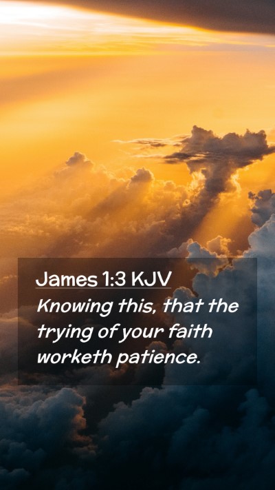 Picture 02 - James 1:3 KJV Mobile Phone Wallpaper - Knowing this, that the trying of your faith - Mobile Bible Verse Wallpaper