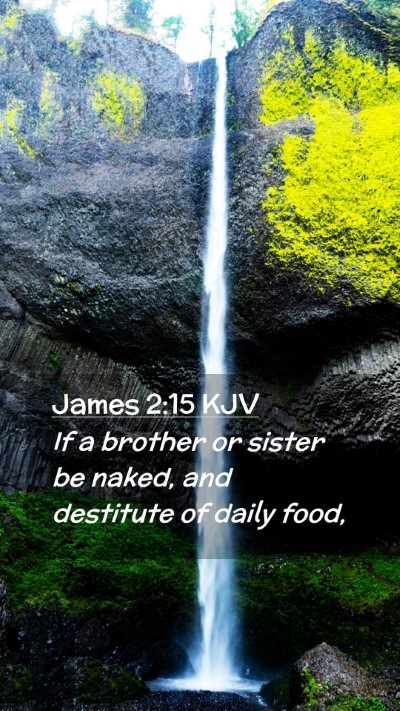 Picture 02 - James 2:15 KJV Mobile Phone Wallpaper - If a brother or sister be naked, and destitute of - Mobile Bible Verse Wallpaper