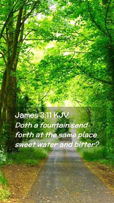 Picture 02 - James 3:11 KJV Mobile Phone Wallpaper - Doth a fountain send forth at the same place - Mobile Bible Verse Wallpaper