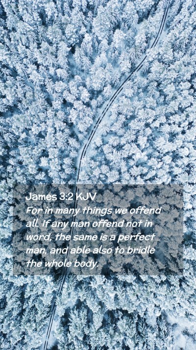 Picture 02 - James 3:2 KJV Mobile Phone Wallpaper - For in many things we offend all. If any man - Mobile Bible Verse Wallpaper