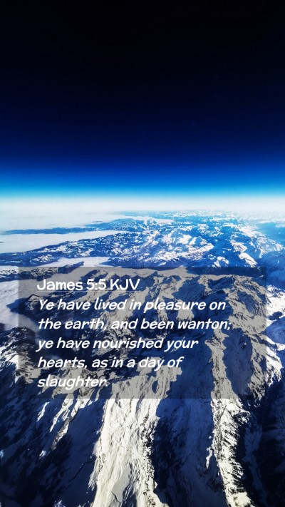 Picture 02 - James 5:5 KJV Mobile Phone Wallpaper - Ye have lived in pleasure on the earth, and been - Mobile Bible Verse Wallpaper