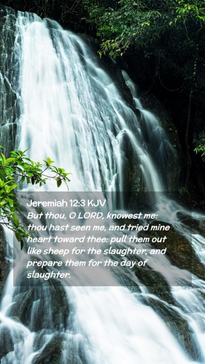 Picture 02 - Jeremiah 12:3 KJV Mobile Phone Wallpaper - But thou, O LORD, knowest me: thou hast seen me, - Mobile Bible Verse Wallpaper