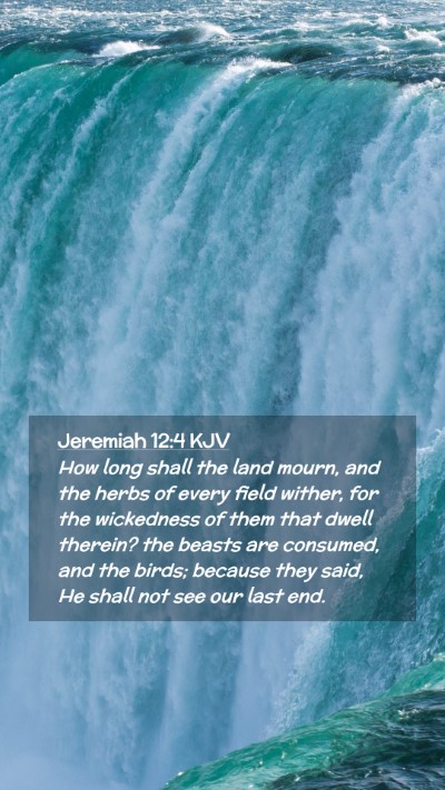 Picture 02 - Jeremiah 12:4 KJV Mobile Phone Wallpaper - How long shall the land mourn, and the herbs of - Mobile Bible Verse Wallpaper