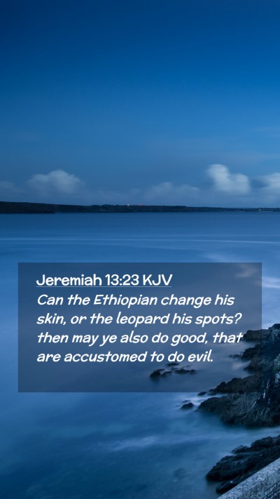 Picture 02 - Jeremiah 13:23 KJV Mobile Phone Wallpaper - Can the Ethiopian change his skin, or the leopard - Mobile Bible Verse Wallpaper