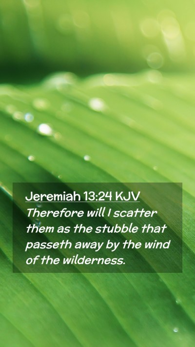 Picture 02 - Jeremiah 13:24 KJV Mobile Phone Wallpaper - Therefore will I scatter them as the stubble that - Mobile Bible Verse Wallpaper
