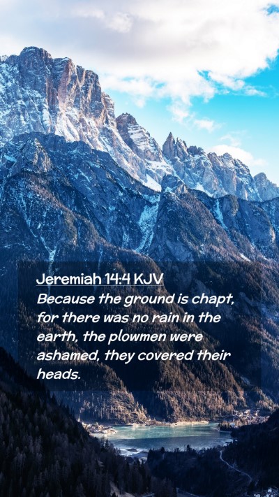 Picture 02 - Jeremiah 14:4 KJV Mobile Phone Wallpaper - Because the ground is chapt, for there was no - Mobile Bible Verse Wallpaper