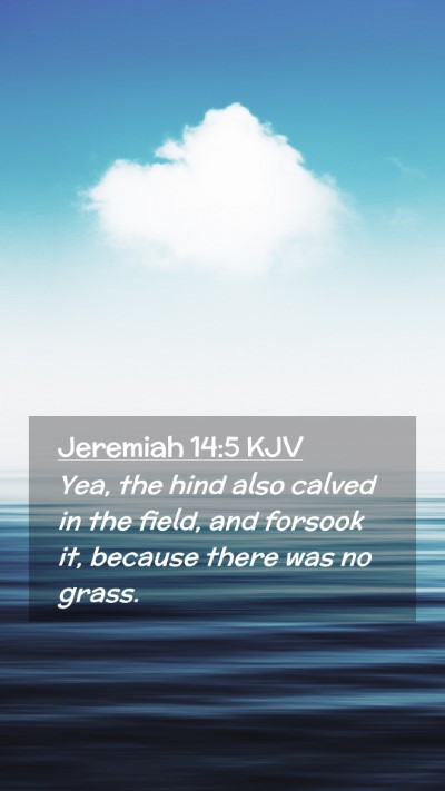 Picture 02 - Jeremiah 14:5 KJV Mobile Phone Wallpaper - Yea, the hind also calved in the field, and - Mobile Bible Verse Wallpaper