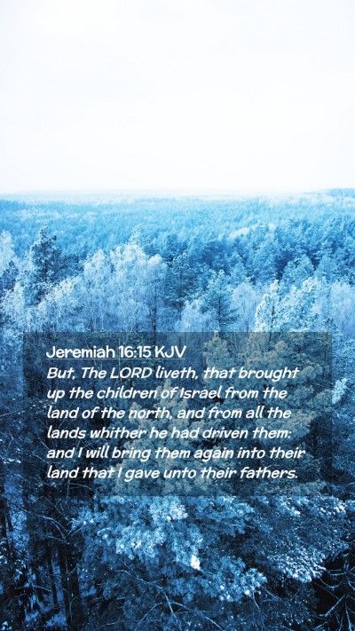 Picture 02 - Jeremiah 16:15 KJV Mobile Phone Wallpaper - But, The LORD liveth, that brought up the - Mobile Bible Verse Wallpaper