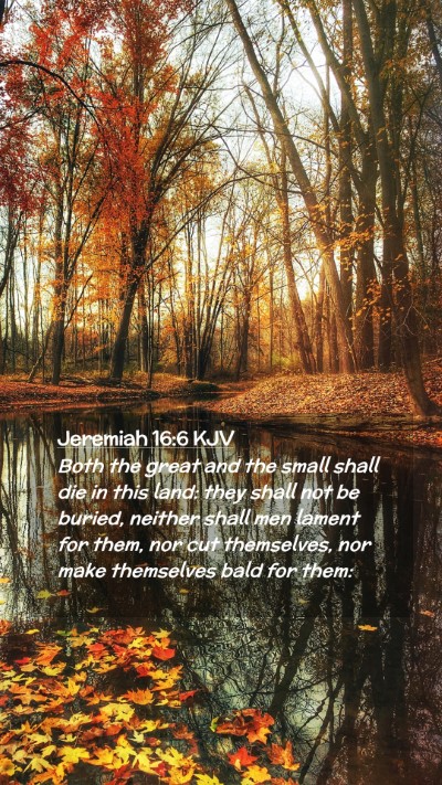 Picture 02 - Jeremiah 16:6 KJV Mobile Phone Wallpaper - Both the great and the small shall die in this - Mobile Bible Verse Wallpaper