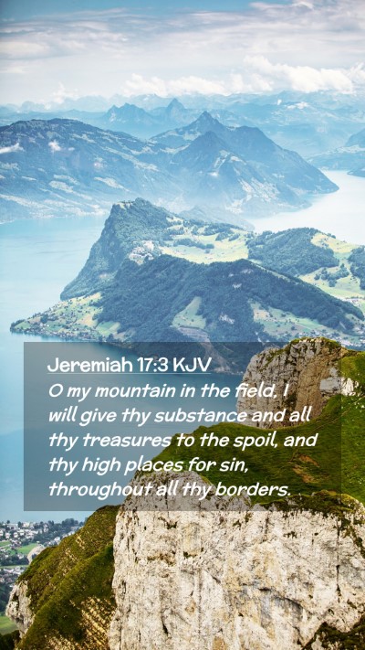 Picture 02 - Jeremiah 17:3 KJV Mobile Phone Wallpaper - O my mountain in the field, I will give thy - Mobile Bible Verse Wallpaper