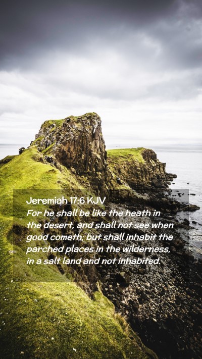 Picture 02 - Jeremiah 17:6 KJV Mobile Phone Wallpaper - For he shall be like the heath in the desert, and - Mobile Bible Verse Wallpaper