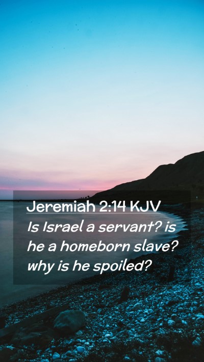 Picture 02 - Jeremiah 2:14 KJV Mobile Phone Wallpaper - Is Israel a servant? is he a homeborn slave? why - Mobile Bible Verse Wallpaper