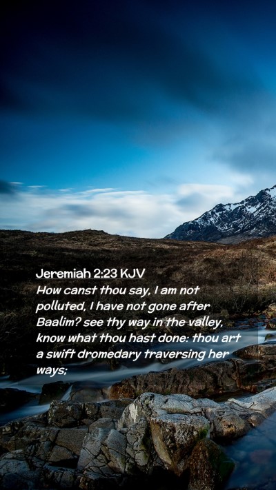 Picture 02 - Jeremiah 2:23 KJV Mobile Phone Wallpaper - How canst thou say, I am not polluted, I have not - Mobile Bible Verse Wallpaper
