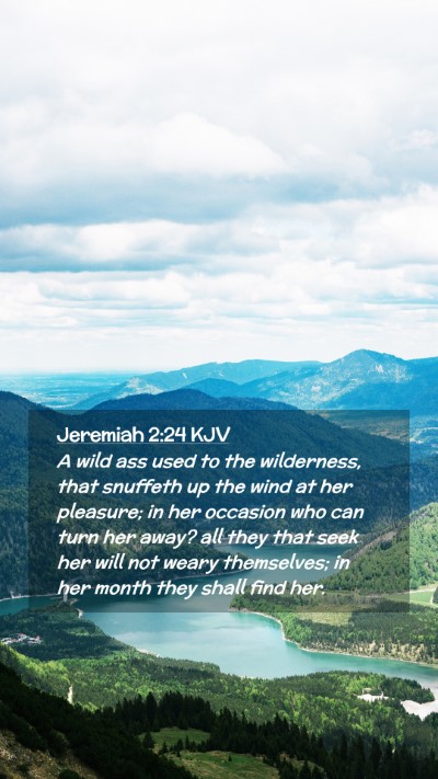 Picture 02 - Jeremiah 2:24 KJV Mobile Phone Wallpaper - A wild ass used to the wilderness, that snuffeth - Mobile Bible Verse Wallpaper