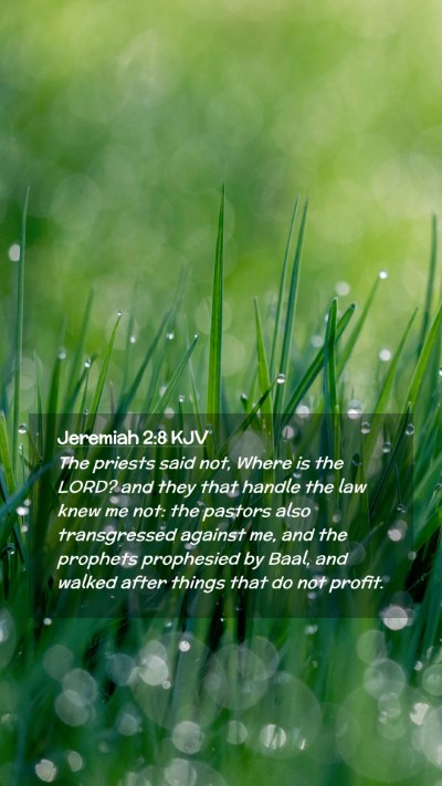 Picture 02 - Jeremiah 2:8 KJV Mobile Phone Wallpaper - The priests said not, Where is the LORD? and they - Mobile Bible Verse Wallpaper