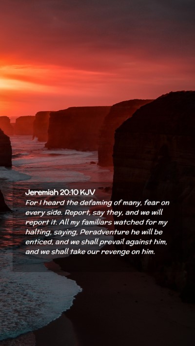 Picture 02 - Jeremiah 20:10 KJV Mobile Phone Wallpaper - For I heard the defaming of many, fear on every - Mobile Bible Verse Wallpaper