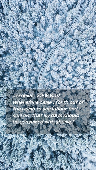 Picture 02 - Jeremiah 20:18 KJV Mobile Phone Wallpaper - Wherefore came I forth out of the womb to see - Mobile Bible Verse Wallpaper