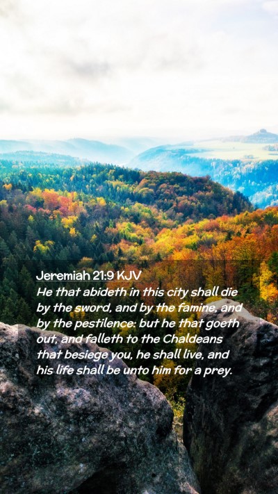 Picture 02 - Jeremiah 21:9 KJV Mobile Phone Wallpaper - He that abideth in this city shall die by the - Mobile Bible Verse Wallpaper