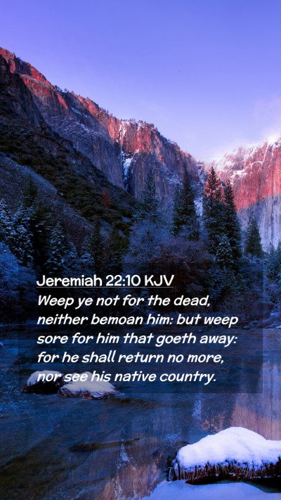 Picture 02 - Jeremiah 22:10 KJV Mobile Phone Wallpaper - Weep ye not for the dead, neither bemoan him: but - Mobile Bible Verse Wallpaper