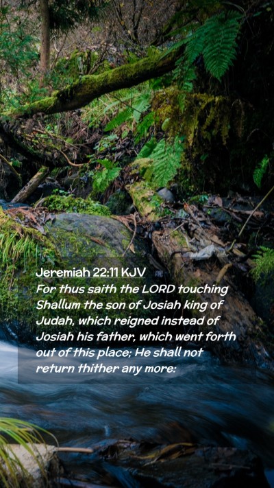Picture 02 - Jeremiah 22:11 KJV Mobile Phone Wallpaper - For thus saith the LORD touching Shallum the son - Mobile Bible Verse Wallpaper