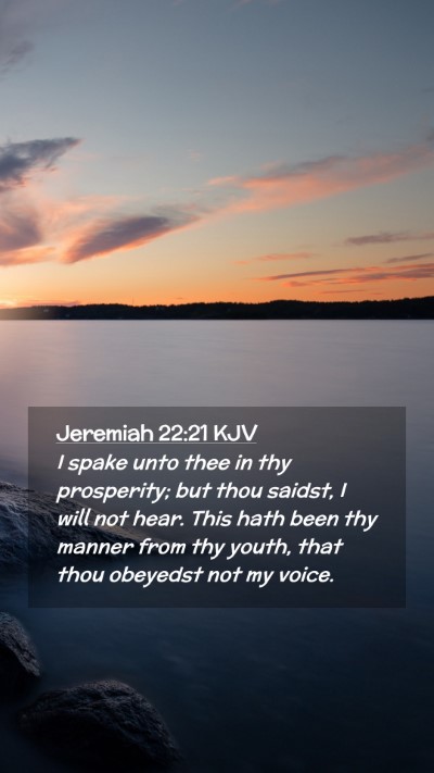 Picture 02 - Jeremiah 22:21 KJV Mobile Phone Wallpaper - I spake unto thee in thy prosperity; but thou - Mobile Bible Verse Wallpaper