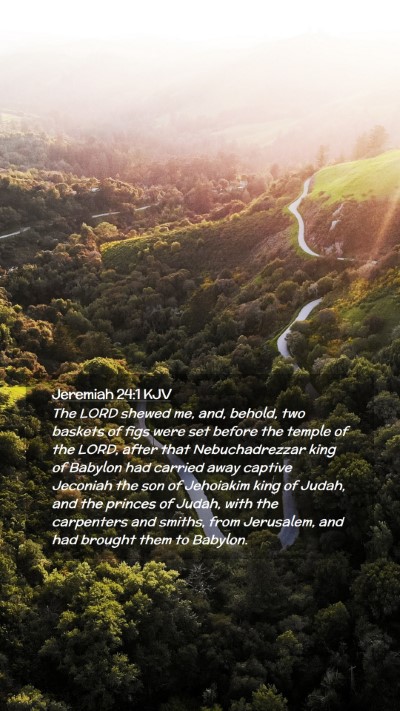 Picture 02 - Jeremiah 24:1 KJV Mobile Phone Wallpaper - The LORD shewed me, and, behold, two baskets of - Mobile Bible Verse Wallpaper