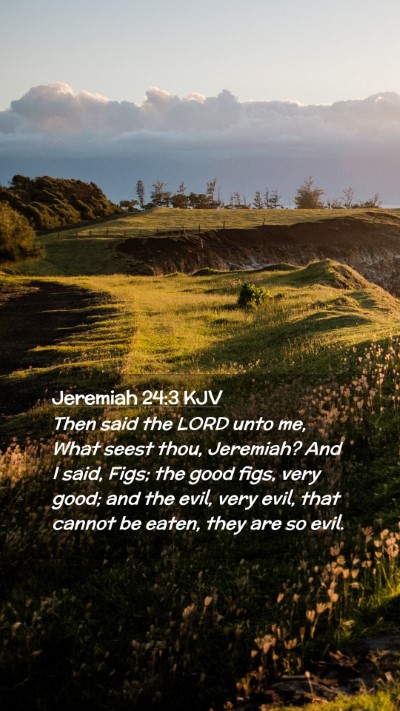 Picture 02 - Jeremiah 24:3 KJV Mobile Phone Wallpaper - Then said the LORD unto me, What seest thou, - Mobile Bible Verse Wallpaper