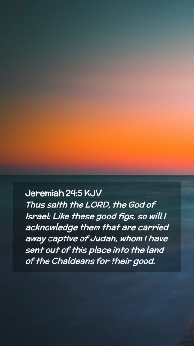 Picture 02 - Jeremiah 24:5 KJV Mobile Phone Wallpaper - Thus saith the LORD, the God of Israel; Like - Mobile Bible Verse Wallpaper
