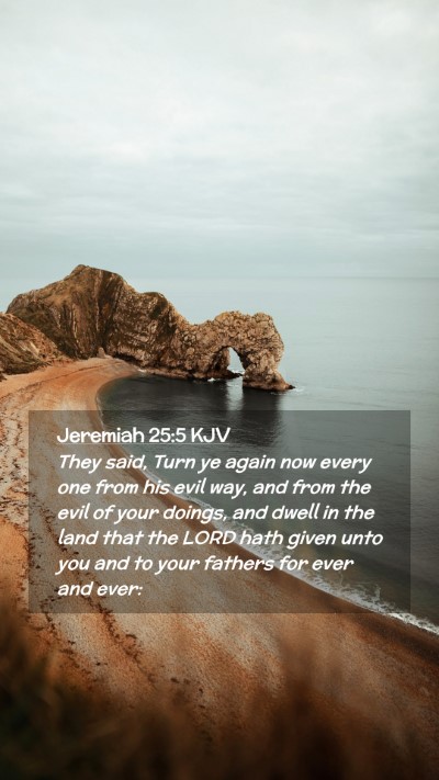 Picture 02 - Jeremiah 25:5 KJV Mobile Phone Wallpaper - They said, Turn ye again now every one from his - Mobile Bible Verse Wallpaper