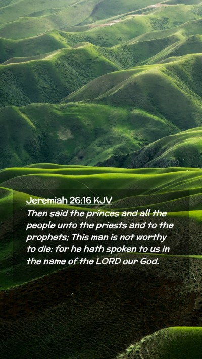 Picture 02 - Jeremiah 26:16 KJV Mobile Phone Wallpaper - Then said the princes and all the people unto the - Mobile Bible Verse Wallpaper