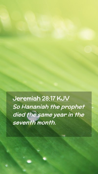 Picture 02 - Jeremiah 28:17 KJV Mobile Phone Wallpaper - So Hananiah the prophet died the same year in the - Mobile Bible Verse Wallpaper
